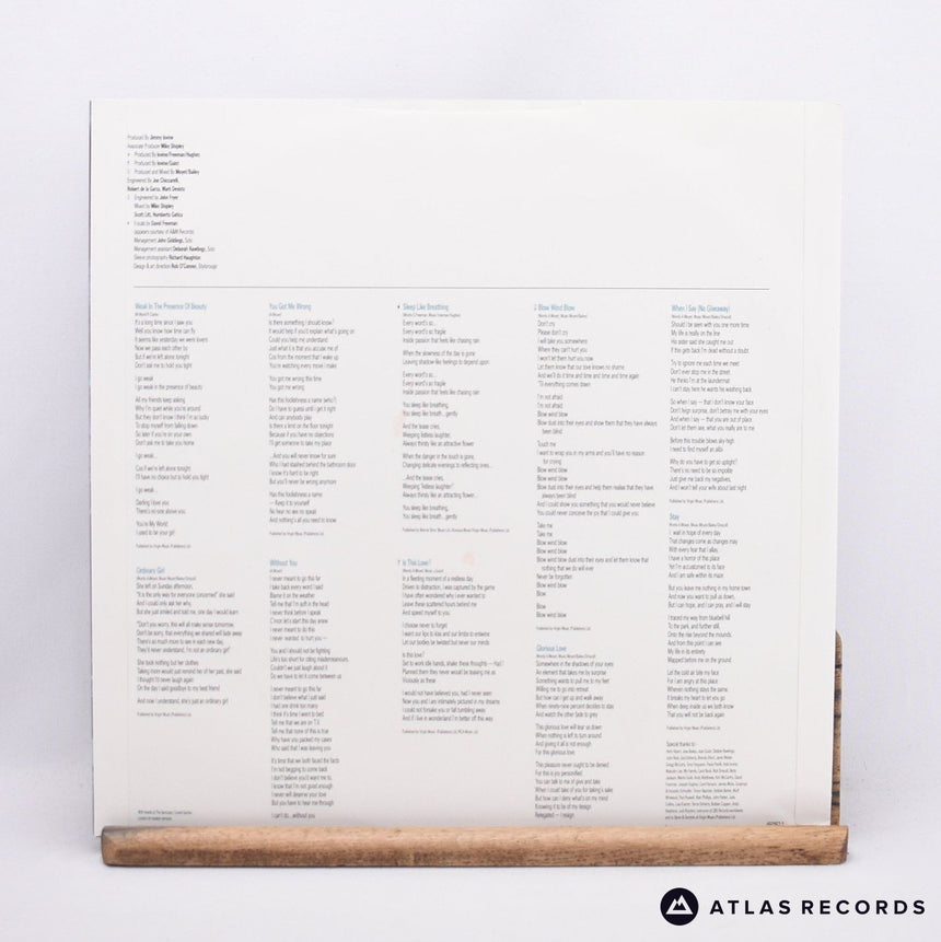 Alison Moyet - Raindancing - LP Vinyl Record - EX/EX