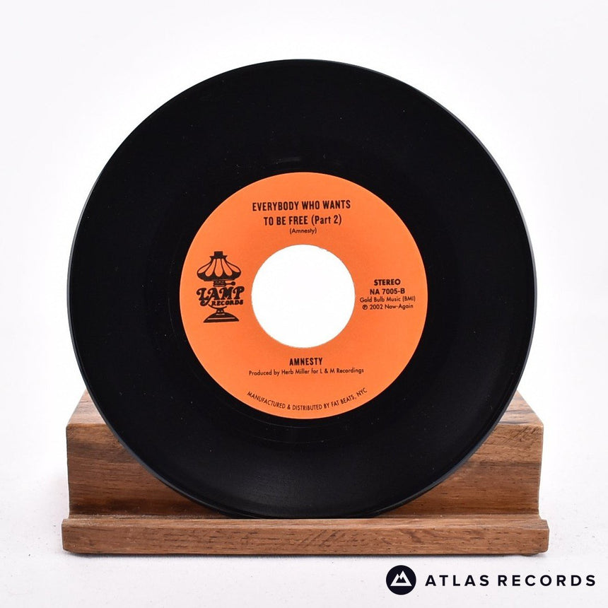 Amnesty - Everybody Who Wants To Be Free - 7" Vinyl Record - EX/EX