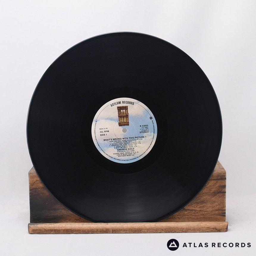 Andrew Gold - What's Wrong With This Picture? - LP Vinyl Record - EX/NM