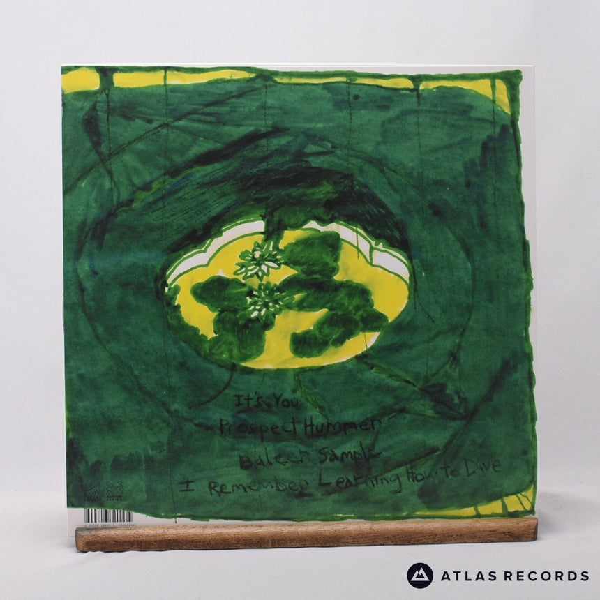Animal Collective - Prospect Hummer - Reissue 12" Vinyl Record - NM/NM