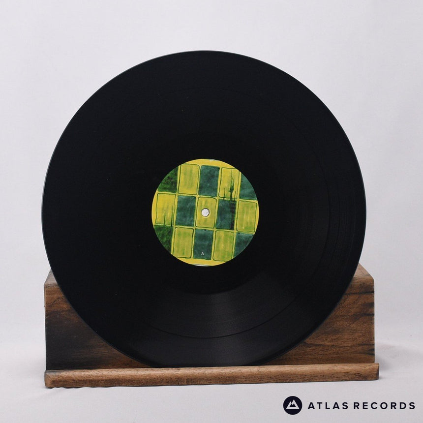 Animal Collective - Prospect Hummer - Reissue 12" Vinyl Record - NM/NM