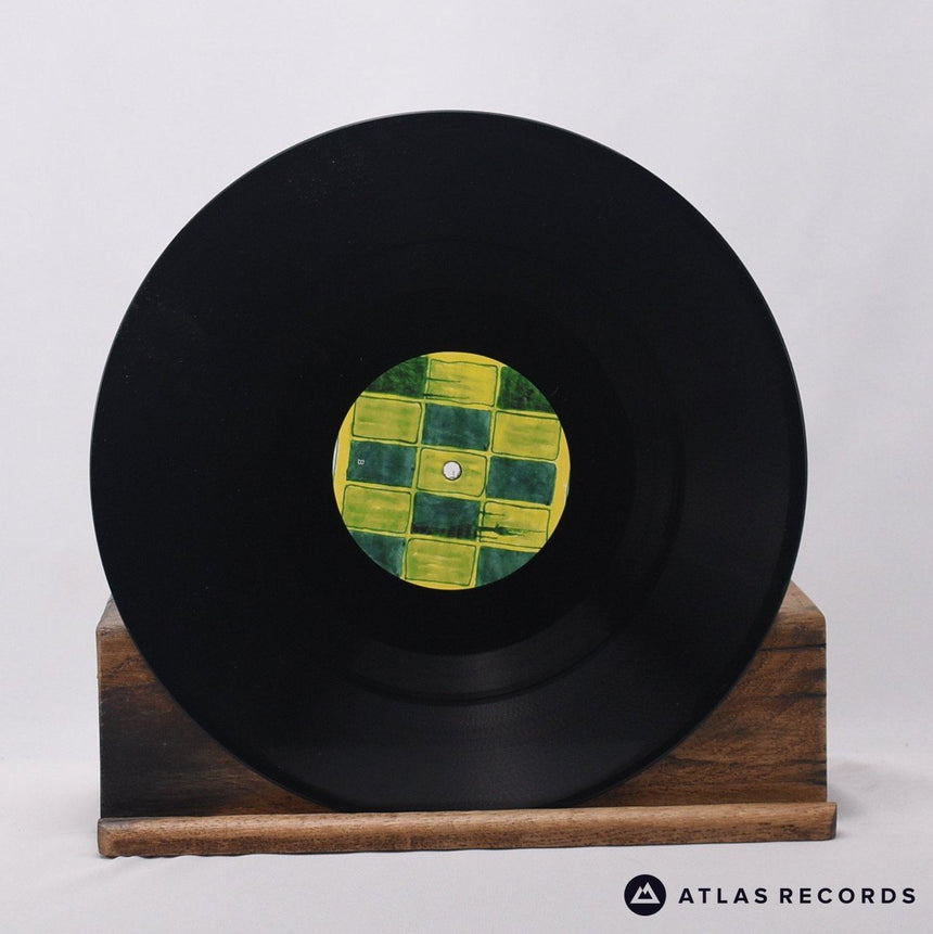 Animal Collective - Prospect Hummer - Reissue 12" Vinyl Record - NM/NM