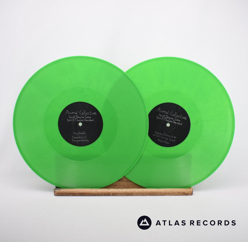 Animal Collective - Spirit They're Gone Spirit They've Vanished - 2 x LP Vinyl