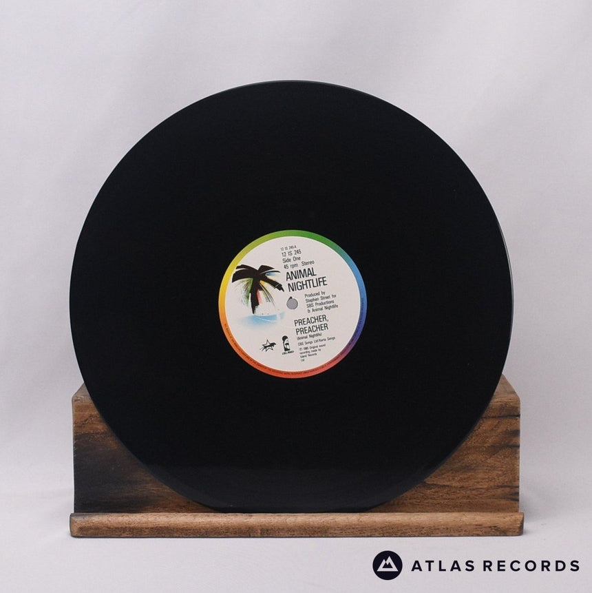 Animal Nightlife - Preacher, Preacher - 12" Vinyl Record - EX/EX