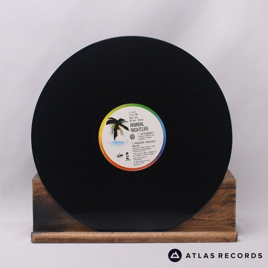 Animal Nightlife - Preacher, Preacher - 12" Vinyl Record - EX/EX