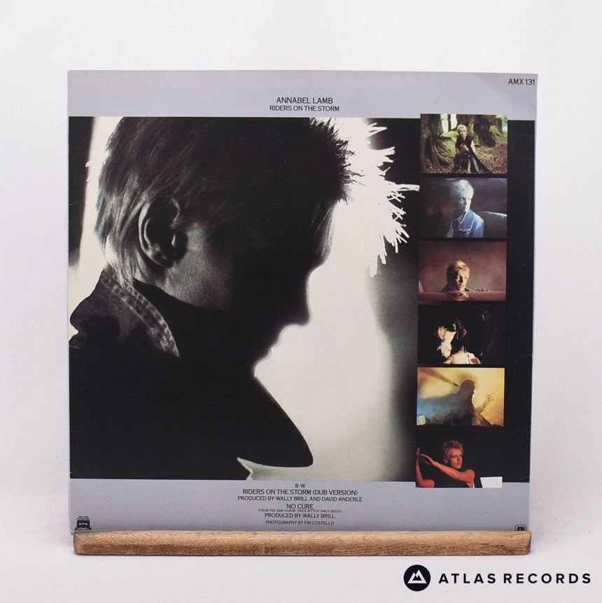Annabel Lamb - Riders On The Storm - 12" Vinyl Record - VG+/VG+
