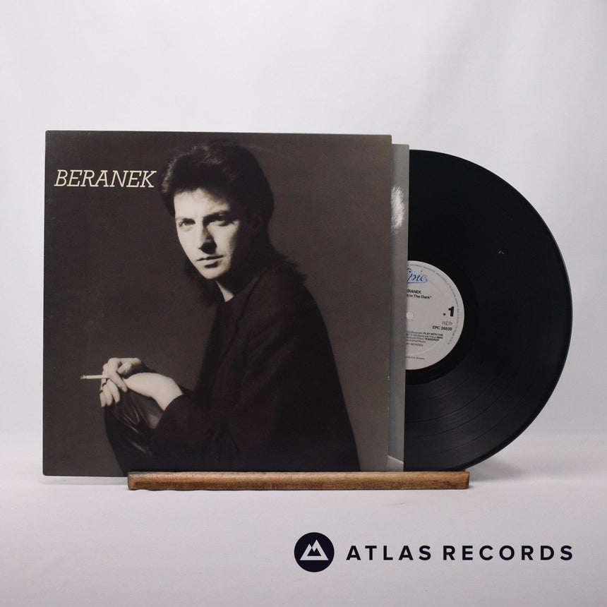 Beranek Daylight In The Dark LP Vinyl Record - Front Cover & Record