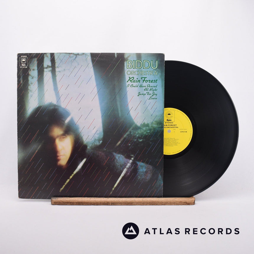 Biddu Orchestra Rain Forest LP Vinyl Record - Front Cover & Record