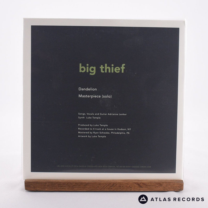Big Thief - Dandelion - Limited Edition Sealed 7" Vinyl Record - NM/EX