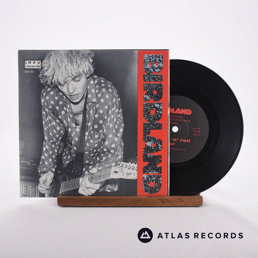 Birdland Rock 'n' Roll Nigger 7" Vinyl Record - Front Cover & Record