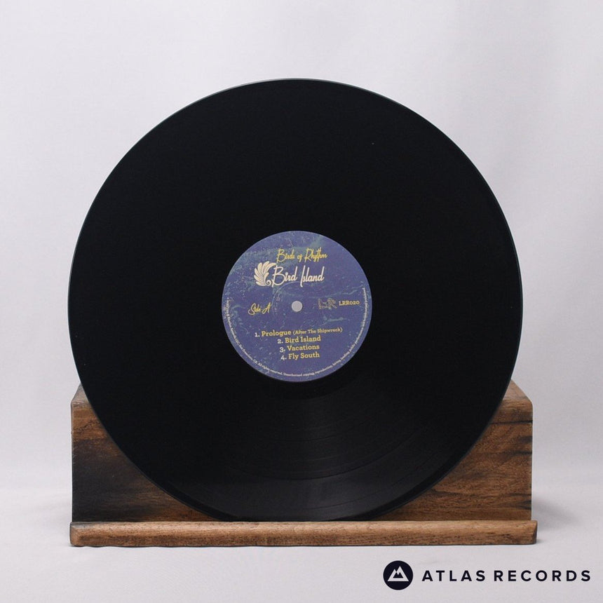 Birds Of Rhythm - Bird Island - Limited Edition LP Vinyl Record - NM/EX