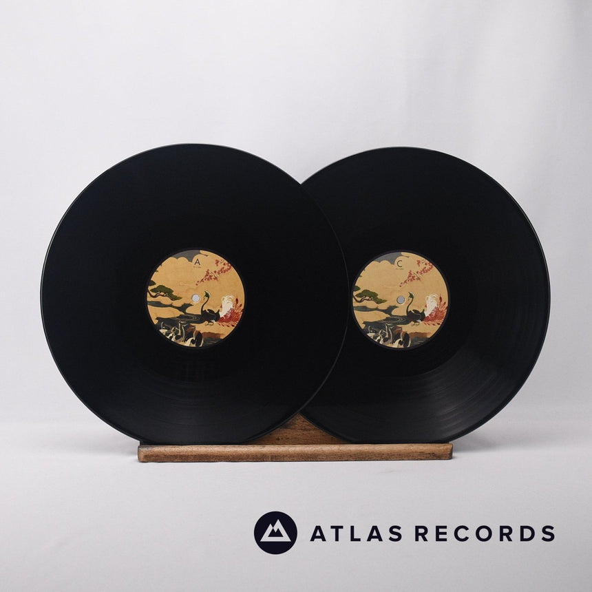 Birdy - Beautiful Lies - A1 B1 C1 D1 Double LP Vinyl Record - EX/EX