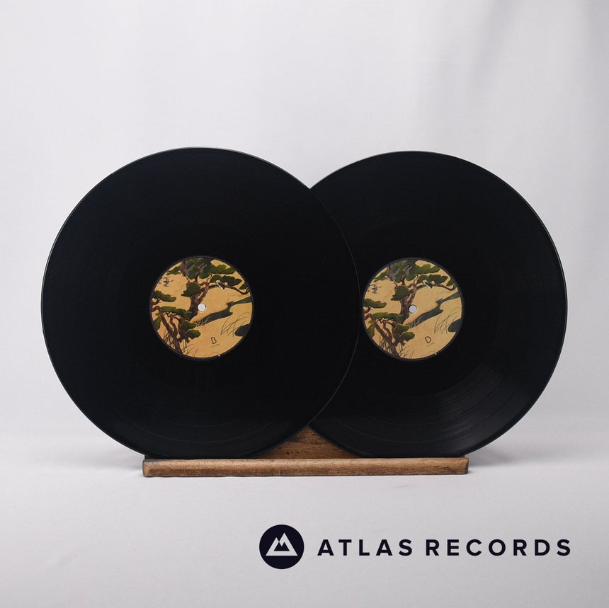 Birdy - Beautiful Lies - A1 B1 C1 D1 Double LP Vinyl Record - EX/EX