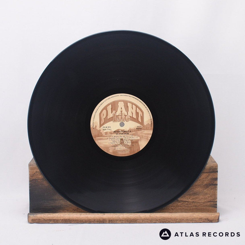 Blowzabella - In Colour - LP Vinyl Record - EX/VG+