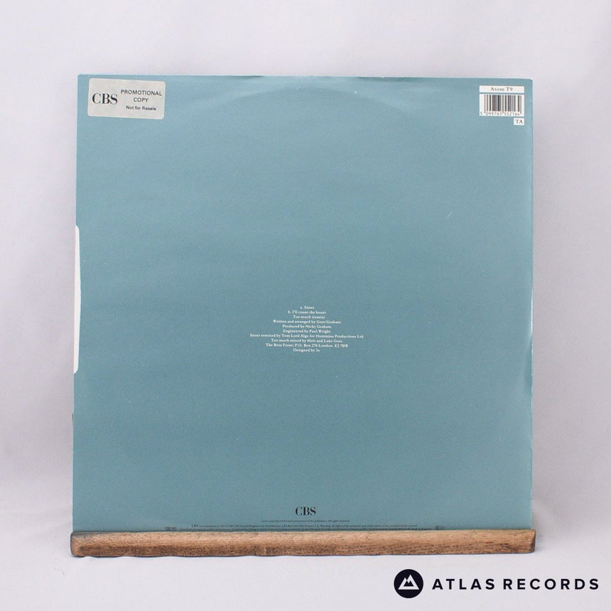 Bros - Sister - Promo 12" Vinyl Record - EX/EX