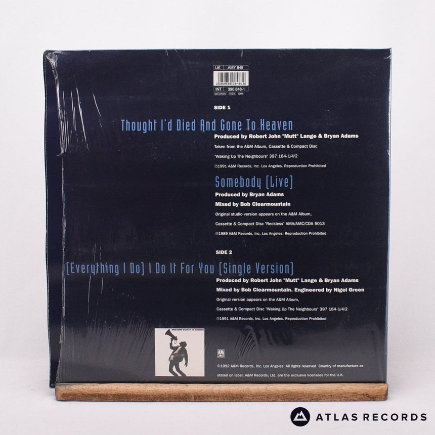 Bryan Adams - Thought I'd Died And Gone To Heaven - 12" Vinyl Record - VG+/VG+