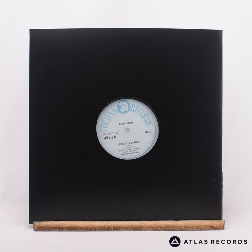 Bunny Lie Lie Living As A Brother 12" Vinyl Record - In Sleeve