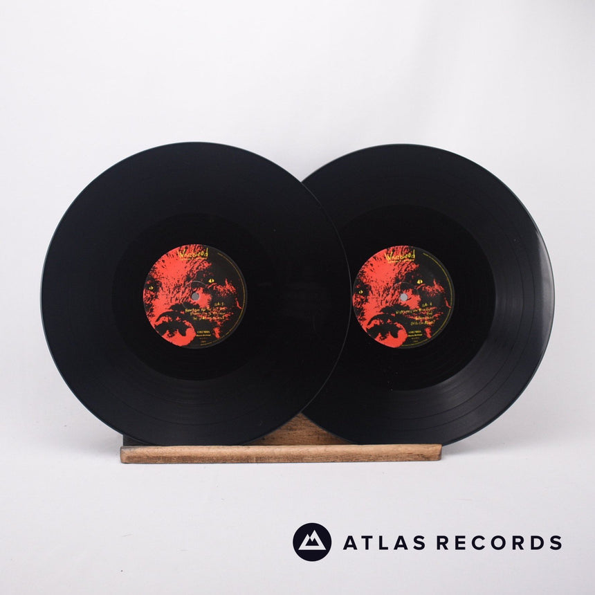 Corrosion Of Conformity - Wiseblood - 1A 1B 1C 1D 2 x LP Vinyl Record - NM/EX