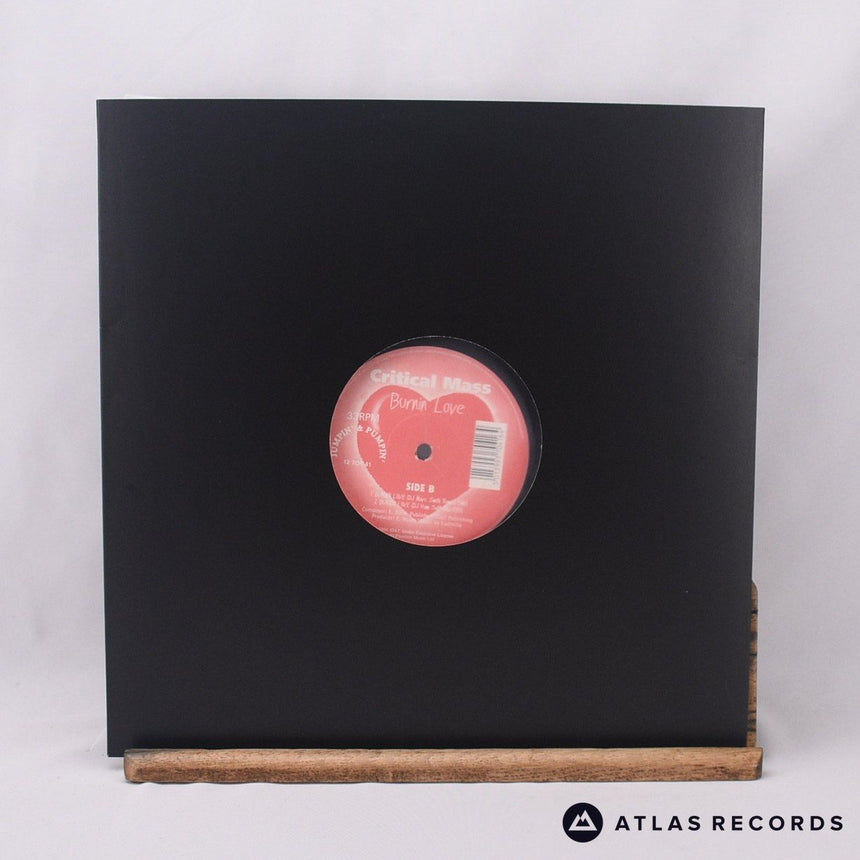 Critical Mass - Burnin Love (Remixes) - 12" Vinyl Record -