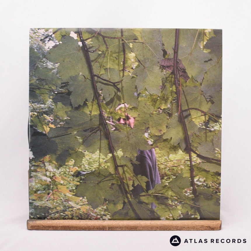 Dakota Oak - Am Deister - LP Vinyl Record - EX/EX
