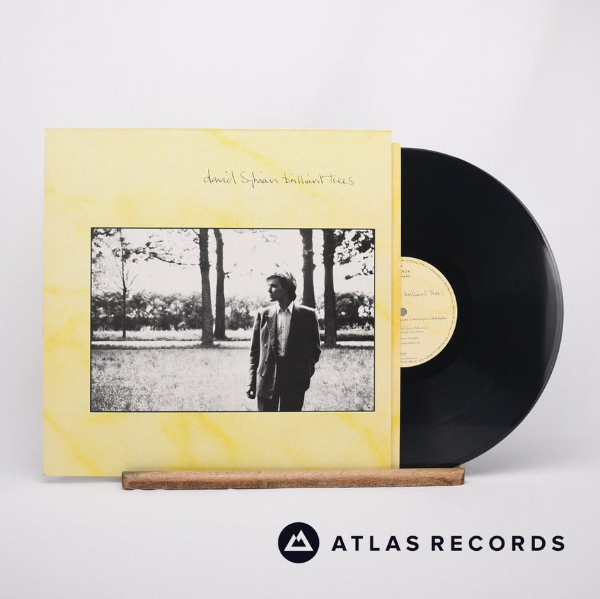 David Sylvian - Brilliant Trees - Townhouse A-3 B-5 LP Vinyl Record - EX/VG+