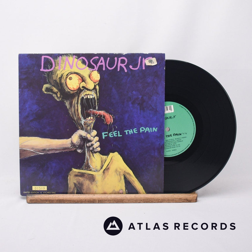 Dinosaur Jr. Feel The Pain 10" Vinyl Record - Front Cover & Record