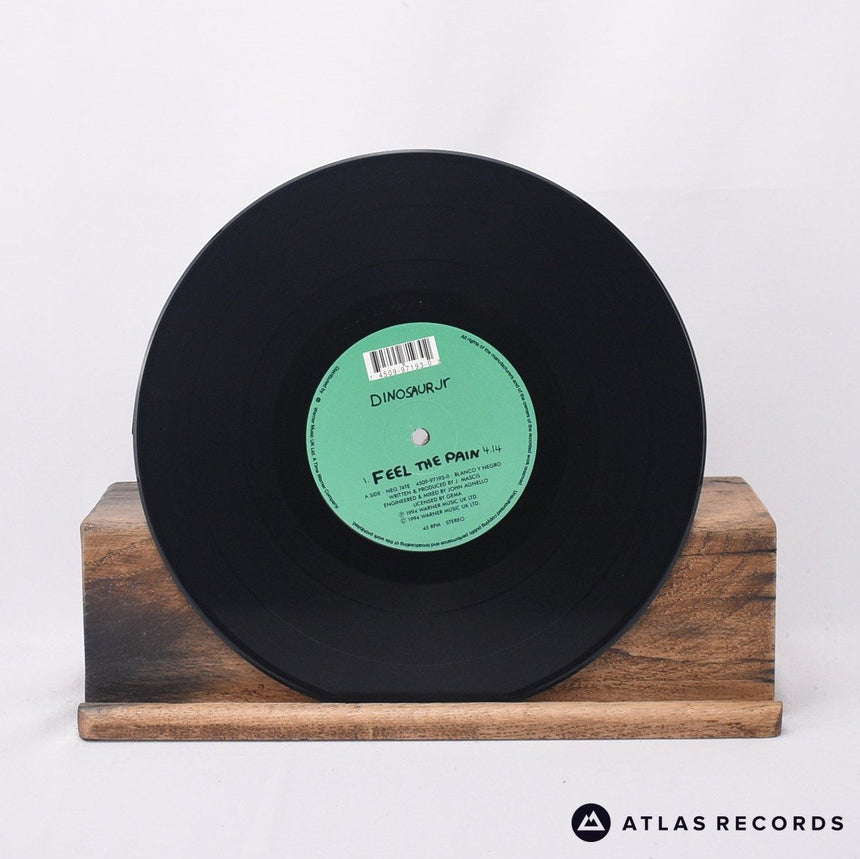 Dinosaur Jr. - Feel The Pain - 10" Vinyl Record - EX/EX