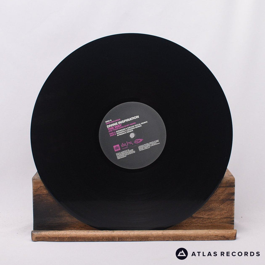 Divine Inspiration - The Way - 12" Vinyl Record - EX/EX