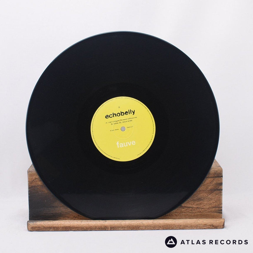 Echobelly - I Can't Imagine The World Without Me - 12" Vinyl Record - EX/VG+