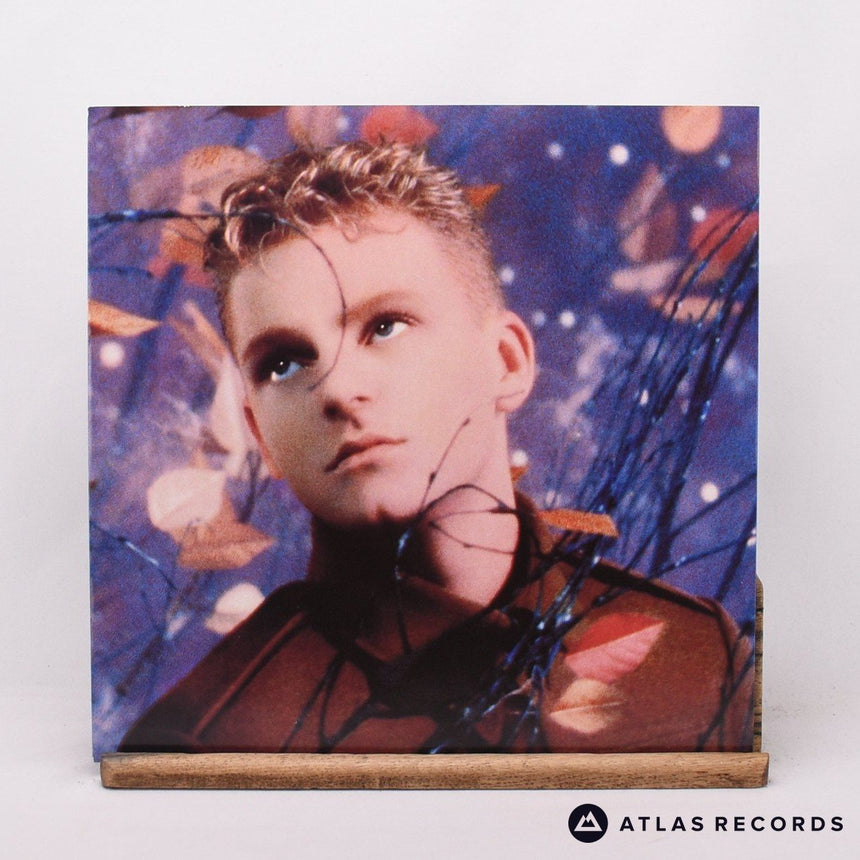 Erasure - Wild! - Booklet Lyric Sheet LP Vinyl Record - EX/EX