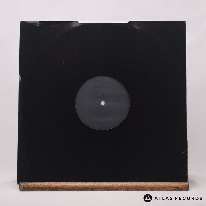 Fish 'N' Chips - Dancing Vibration - Promo -A -B 12" Vinyl Record - VG+/VG+