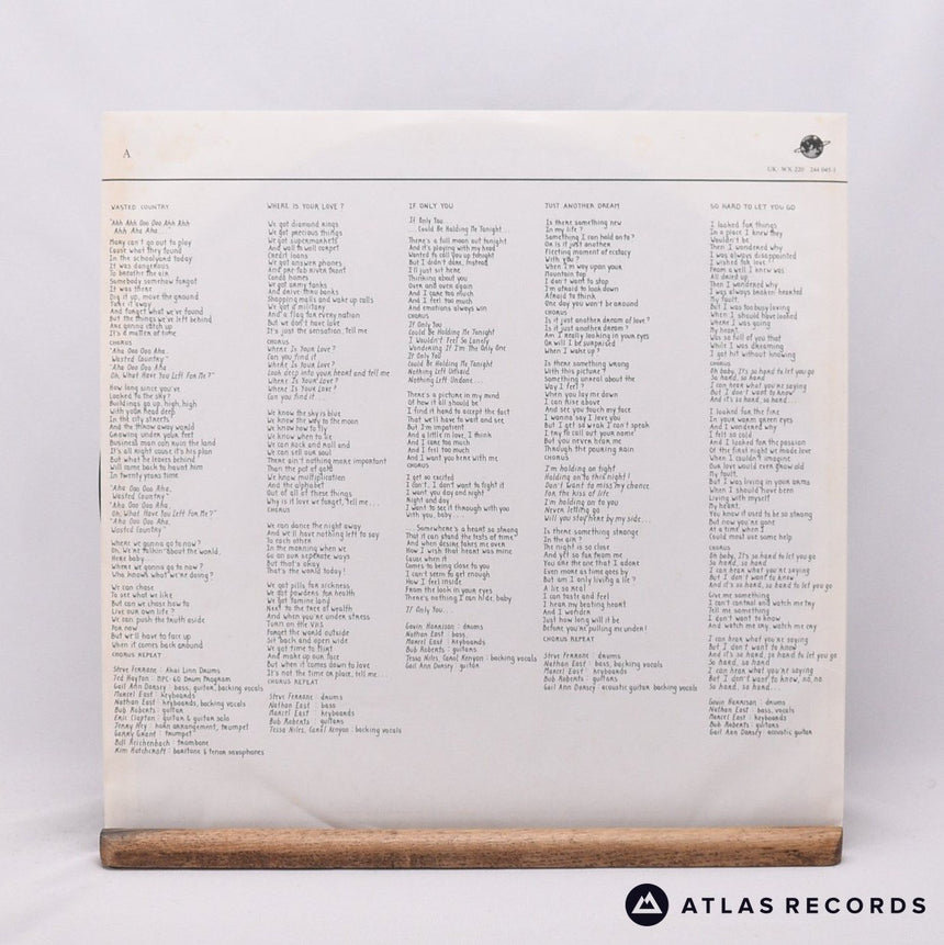 Gail Ann Dorsey - The Corporate World - LP Vinyl Record - VG+/EX