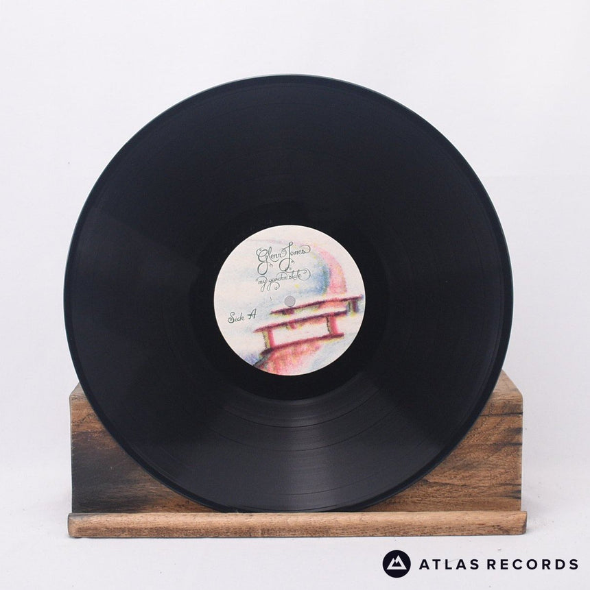 Glenn Jones - My Garden State - Us LP Vinyl Record - NM/EX