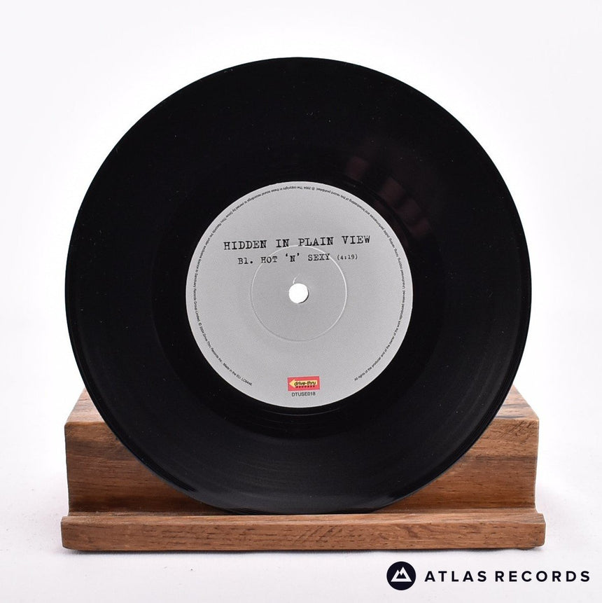 Hidden In Plain View - Ashes Ashes - 7" Vinyl Record - NM/NM