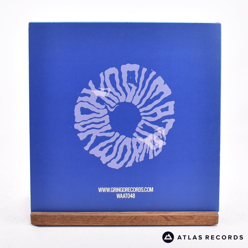 Hookworms - Form And Function - 7" Vinyl Record - EX/EX