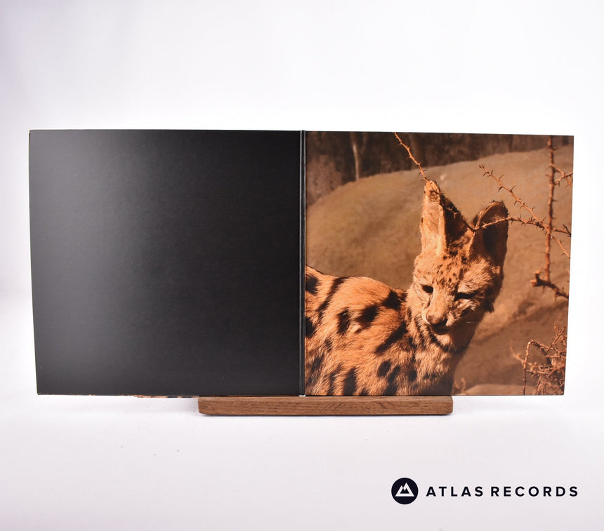 Interpol - The Heinrich Maneuver - Gatefold 7" Vinyl Record - NM/NM