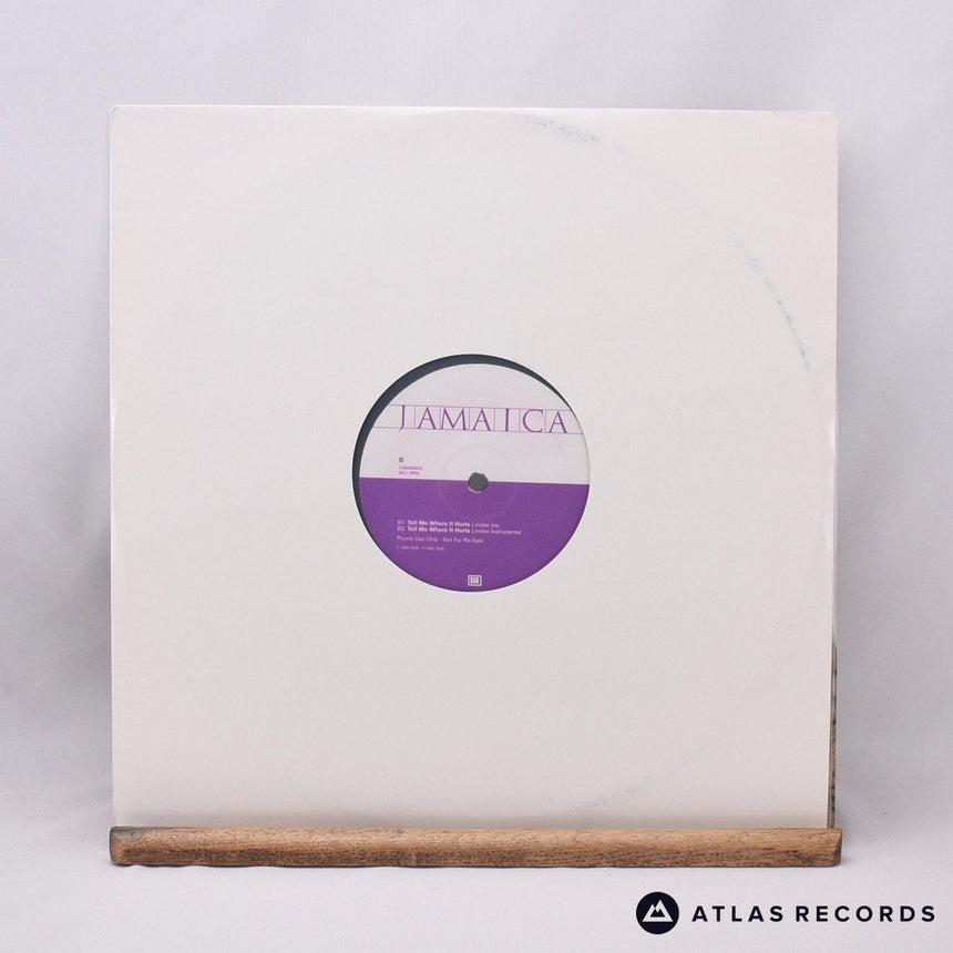 Jamaica - Tell Me Where It Hurts - Die-Cut Sleeve Promo 12" Vinyl Record -