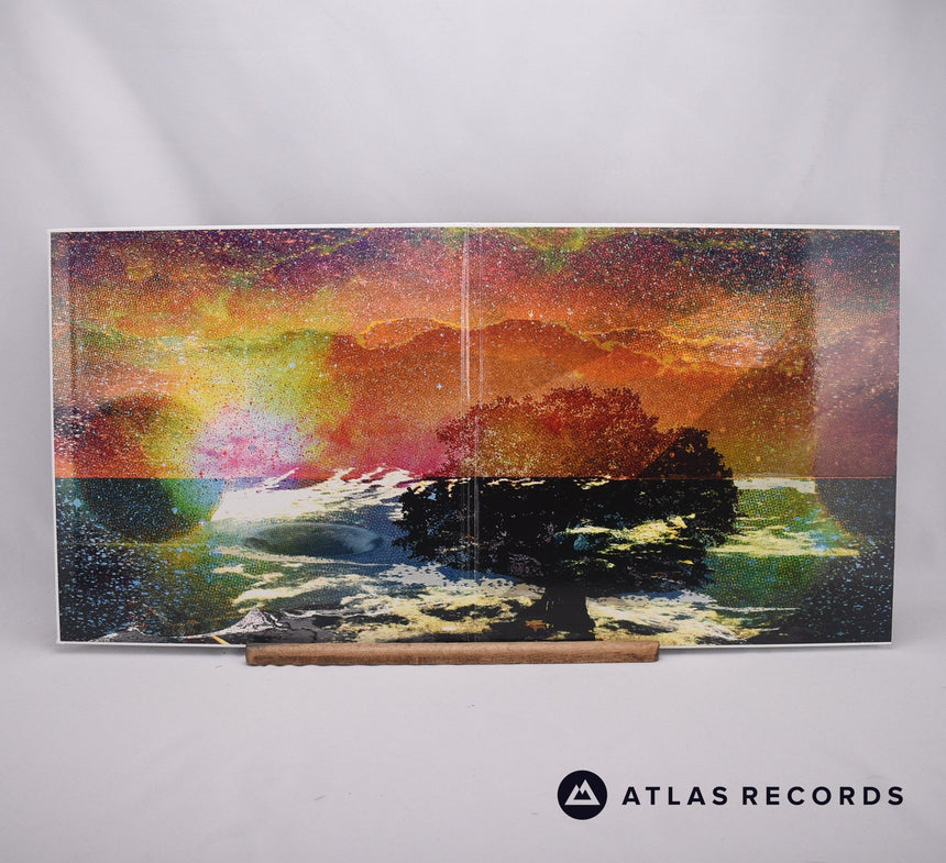 Janek Schaefer - What Light There Is Tells Us Nothing - LP Vinyl Record - NM/EX