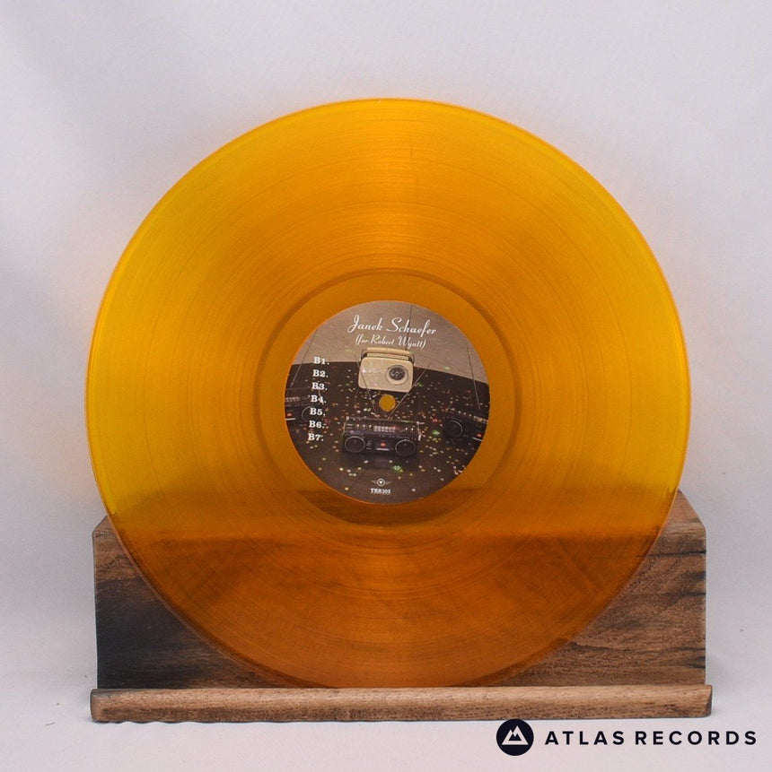 Janek Schaefer - What Light There Is Tells Us Nothing - LP Vinyl Record - NM/EX