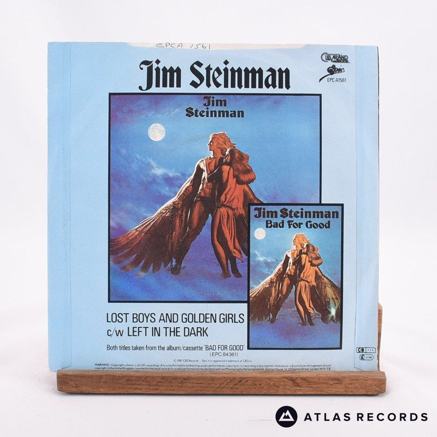 Jim Steinman - Lost Boys And Golden Girls - 7" Vinyl Record - EX/EX