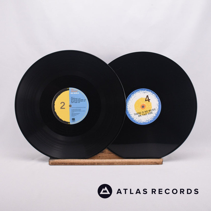 Joe Jackson - Es Un Mundo Grande (= Big World) - 2 x LP Vinyl Record - VG+/EX