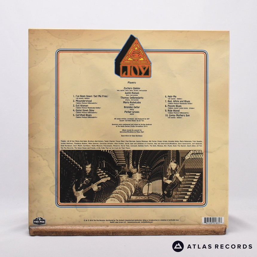 Joy - Ride Along! - Bronze LP Vinyl Record - NM/NM