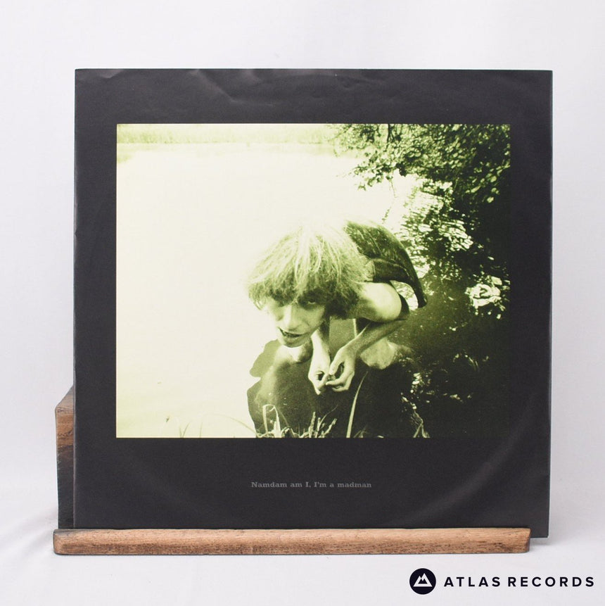 Julian Cope - Fried - Reissue LP Vinyl Record - EX/EX