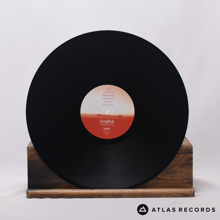 Lungfish - Rainbows From Atoms - LP Vinyl Record - NM/EX