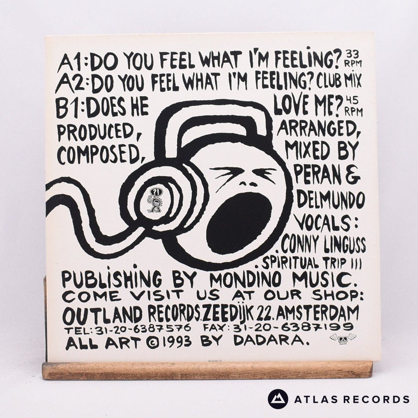 Luvspunge - Do You Feel What I'm Feeling? - 12" Vinyl Record - EX/VG+