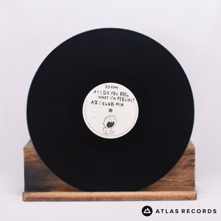 Luvspunge - Do You Feel What I'm Feeling? - 12" Vinyl Record - EX/VG+