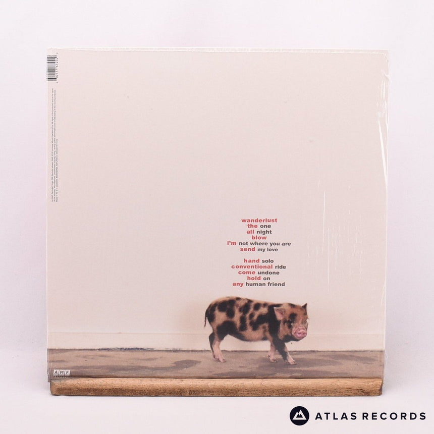 Marika Hackman - Any Human Friend - Pink Marbled LP Vinyl Record - NM/NM