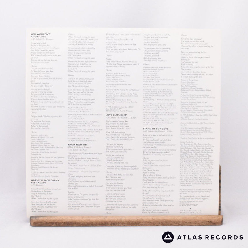 Michael Bolton - Soul Provider - LP Vinyl Record - EX/EX