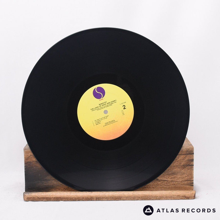 Ministry - The Land Of Rape And Honey - Us A B LP Vinyl Record - VG+/EX