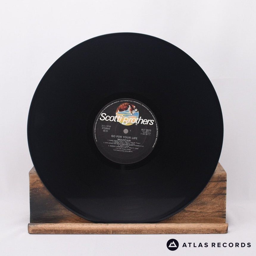 Mountain - Go For Your Life - LP Vinyl Record - EX/VG+